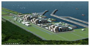 葫芦岛核电站什么时候开建_徐大堡核电站工期几年