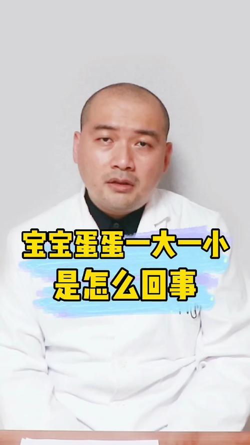 男生小蛋蛋长什么样子