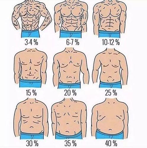 不同程度腹肌对比图