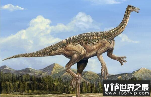 神州龙：辽宁小型食草恐龙，体长1.25米（早白垩世恐龙）