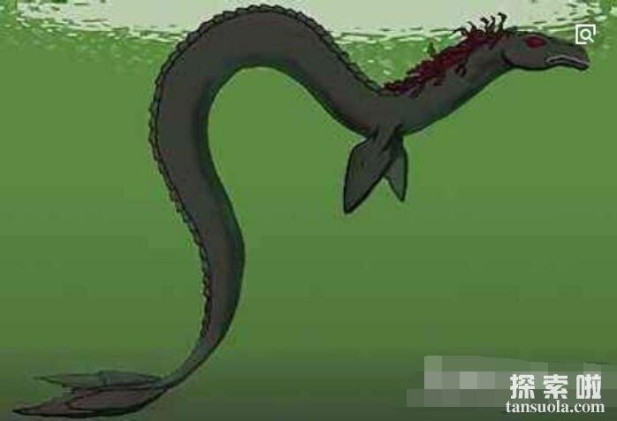 世界上真实存在的水怪：卡布罗龙，马头蛇尾的大海怪(有目击者)