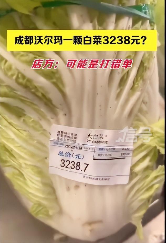 3238元天价白菜,白菜现价多少元