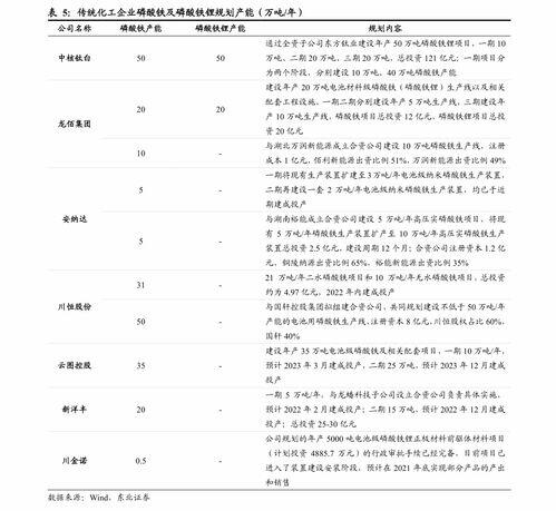 股市注册制是什么意思,股市注册制是什么意思?