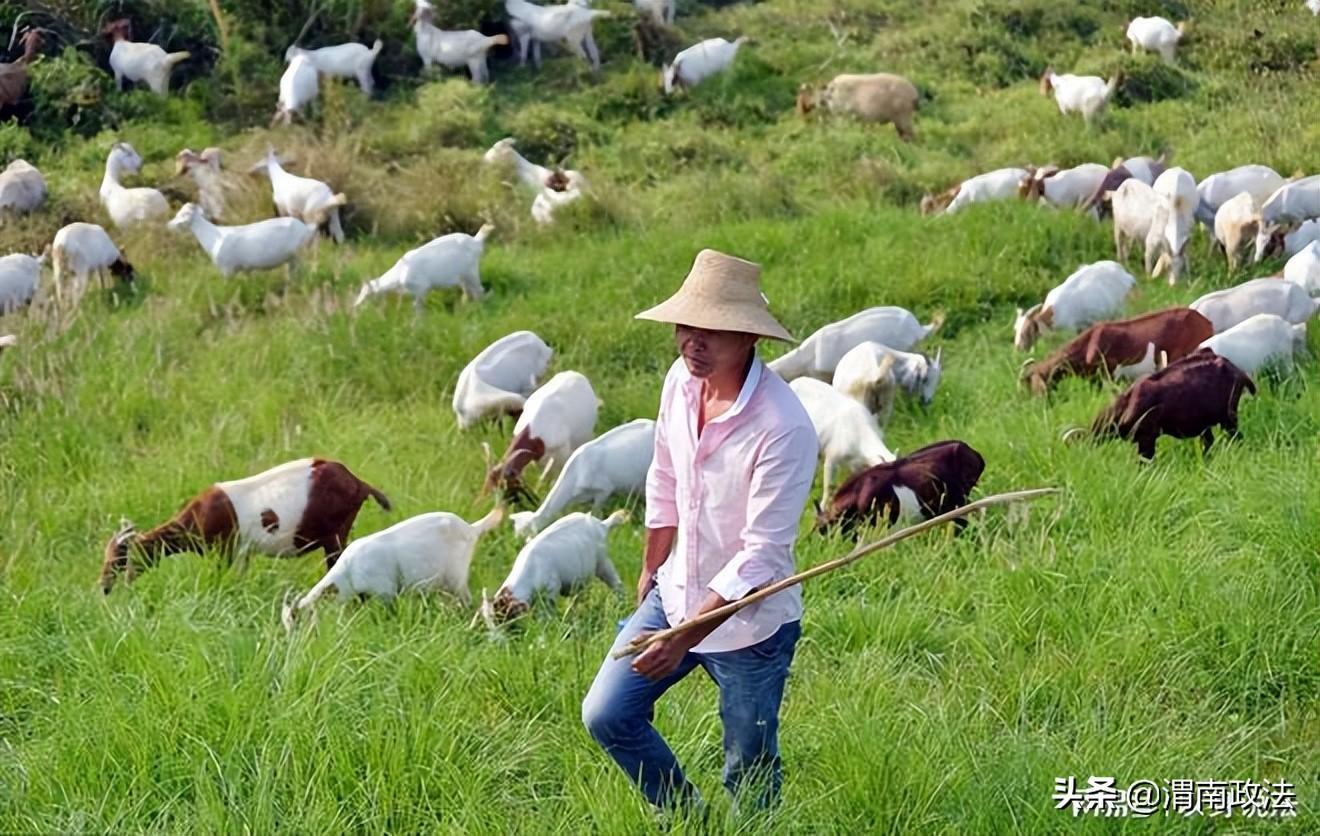 村民在自家地里投毒,村民在自家地里投毒怎么办