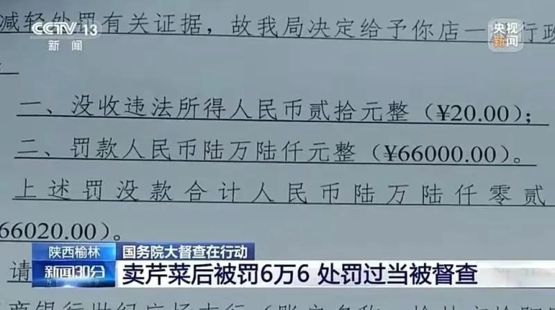 胡锡进谈媒体为5斤芹菜罚6.6万辩护是怎么回事?