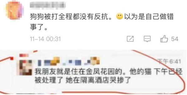 主人隔离宠物狗遭扑杀 干部出镜道歉是怎么回事，关于被隔离宠物扑杀的新消息。