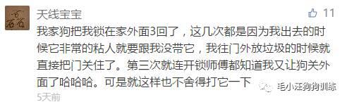 被家里的宠物锁在了门外,究竟是怎么一回事?