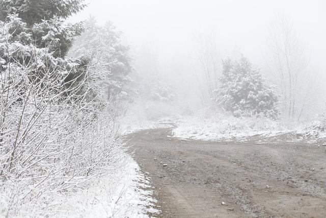 直播:黑龙江多地遭遇暴风雪 黑龙江的暴风雪有多大?