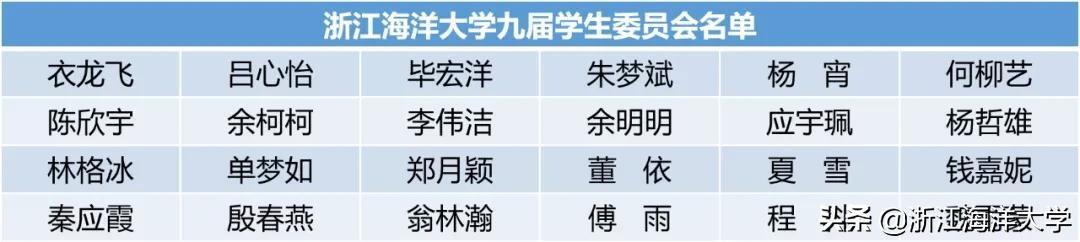 二十大代表分组讨论报告,究竟是怎么一回事?