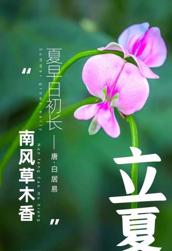 立夏图片大全图片带字2022 二十四节气立夏唯美图片 立夏祝福问候图片