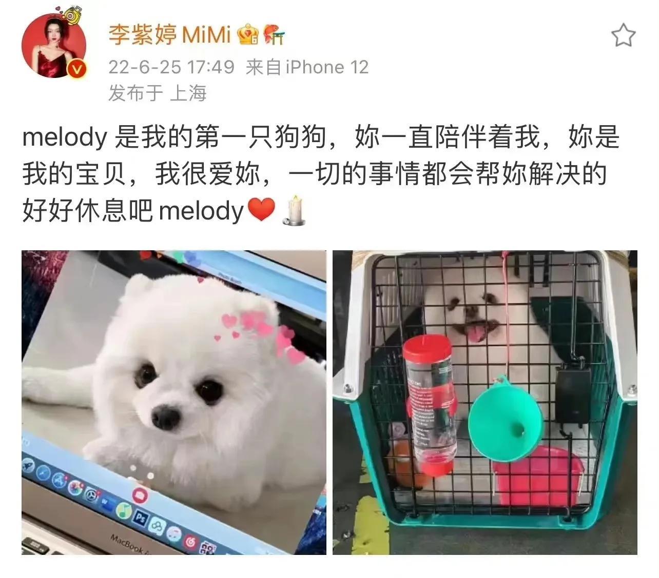 李紫婷求助爱犬死亡原因是怎么回事?