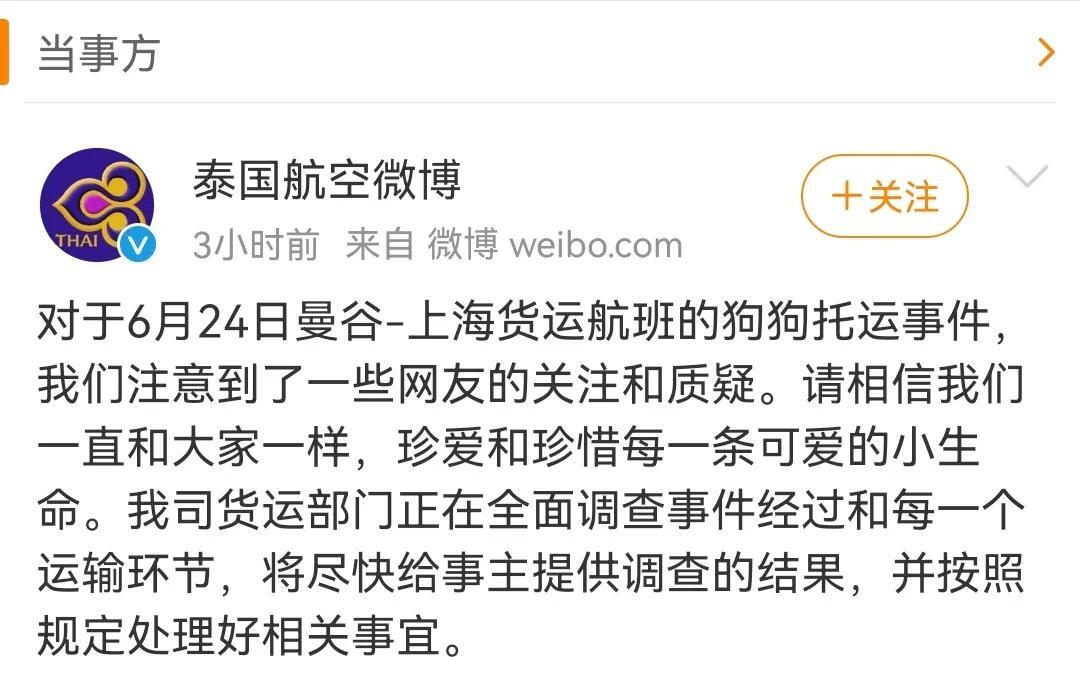 李紫婷求助爱犬死亡原因是怎么回事?