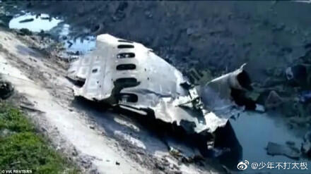 乌客机坠毁现场航拍视频画面曝光 乌客机坠毁现场满地残骸与尸体