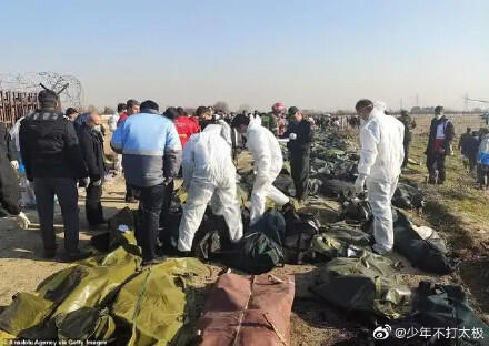 乌客机坠毁现场航拍视频画面曝光 乌客机坠毁现场满地残骸与尸体
