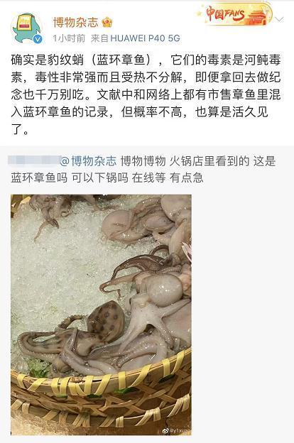 深圳网友称在山姆买到蓝环章鱼,究竟是怎么一回事?