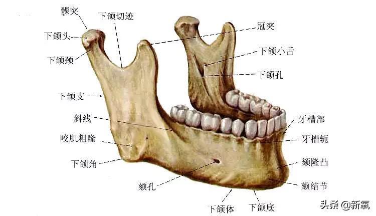 韩素希脸部受伤是怎么回事，关于韩素希脸部受伤照片的新消息。