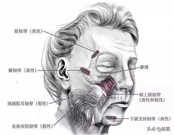 韩素希脸部受伤是怎么回事，关于韩素希脸部受伤照片的新消息。