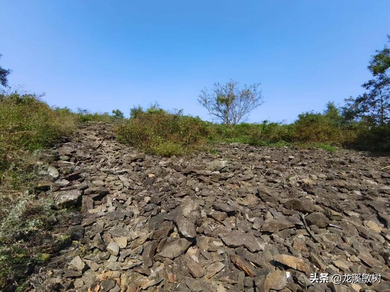 海口街头出现海市蜃楼是怎么回事，关于龙口海市蜃楼的新消息。