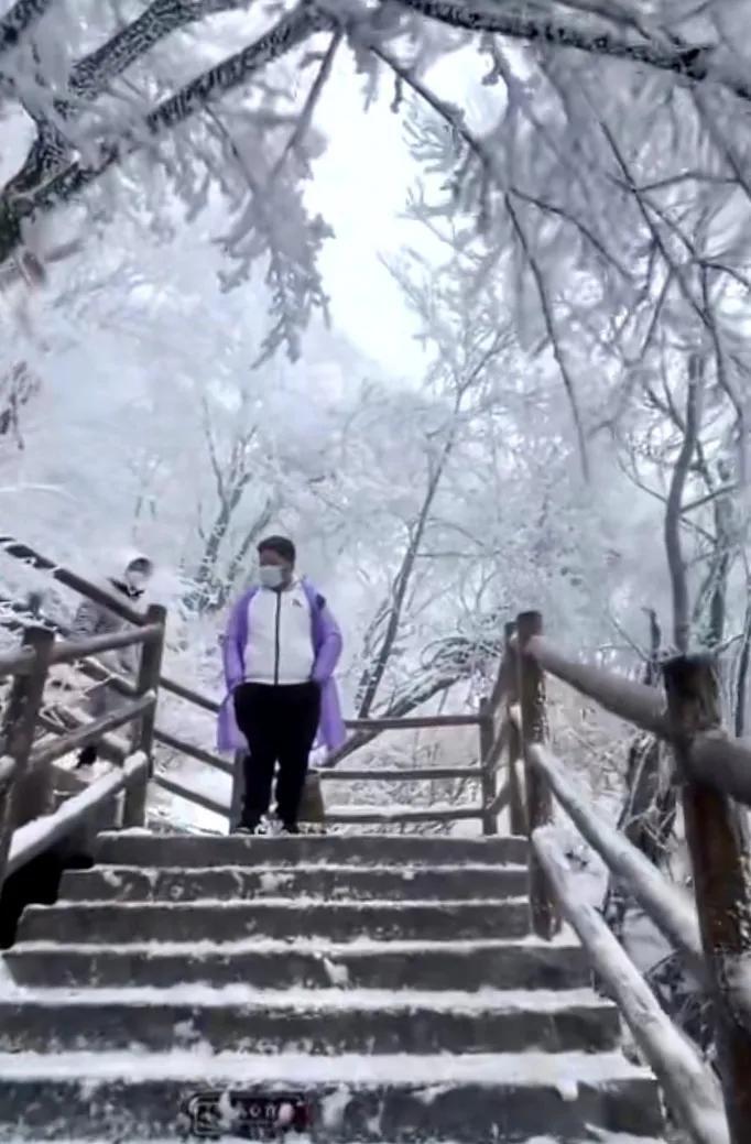 河南局部迎雨夹雪天气,河南局部迎雨夹雪天气会下雪吗