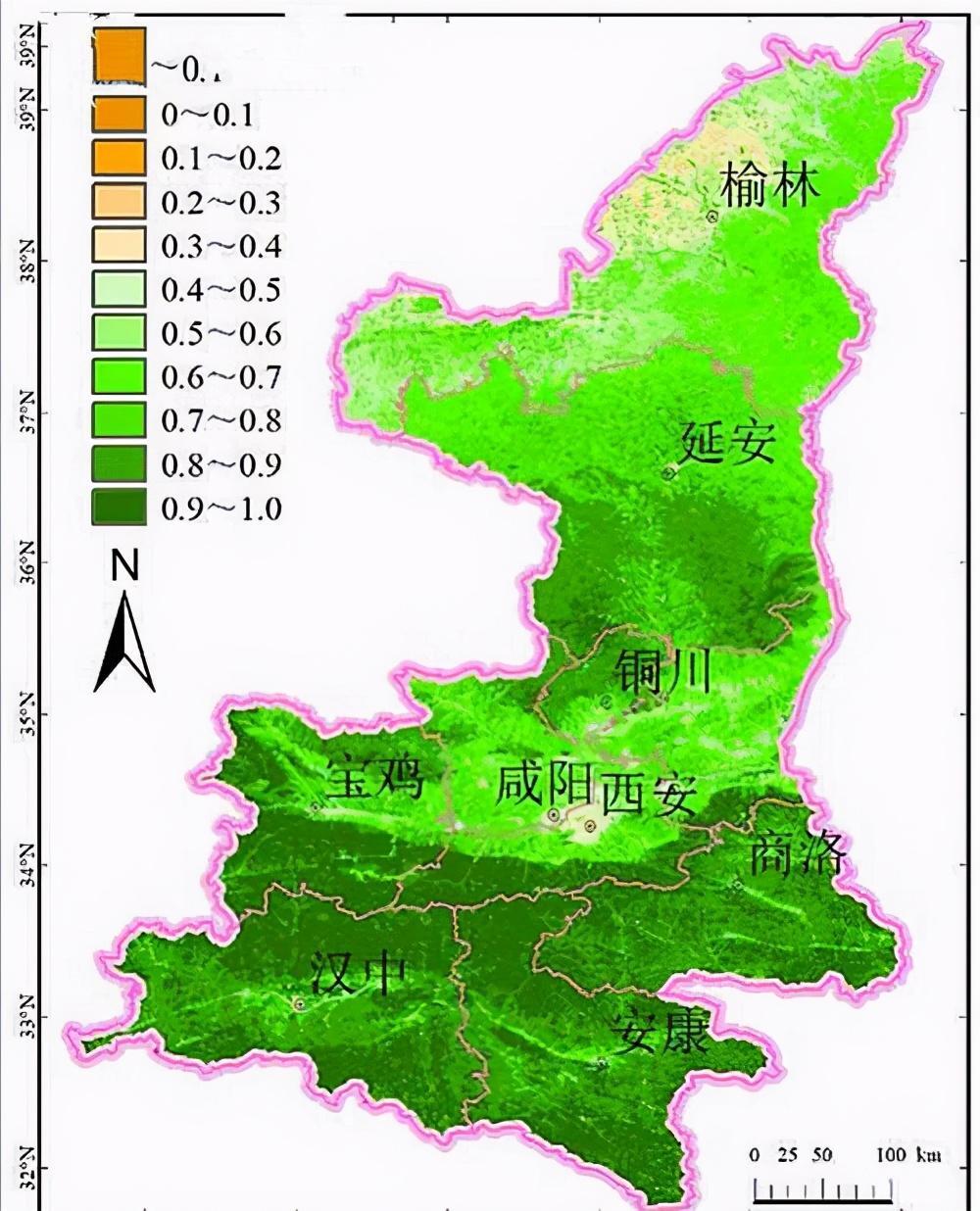 ##秦岭再次拍到三只金钱豹同框