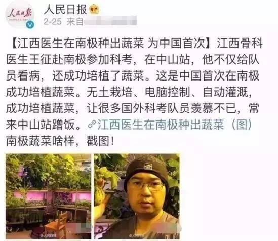 中国人确实有点种菜天赋在身上的,都说中国人有种菜天赋