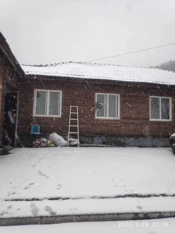浙江多地下雪,究竟是怎么一回事?