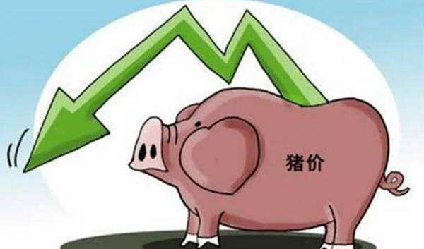 猪价下跌最新消息_三四月猪价或跌至每斤6元谷底