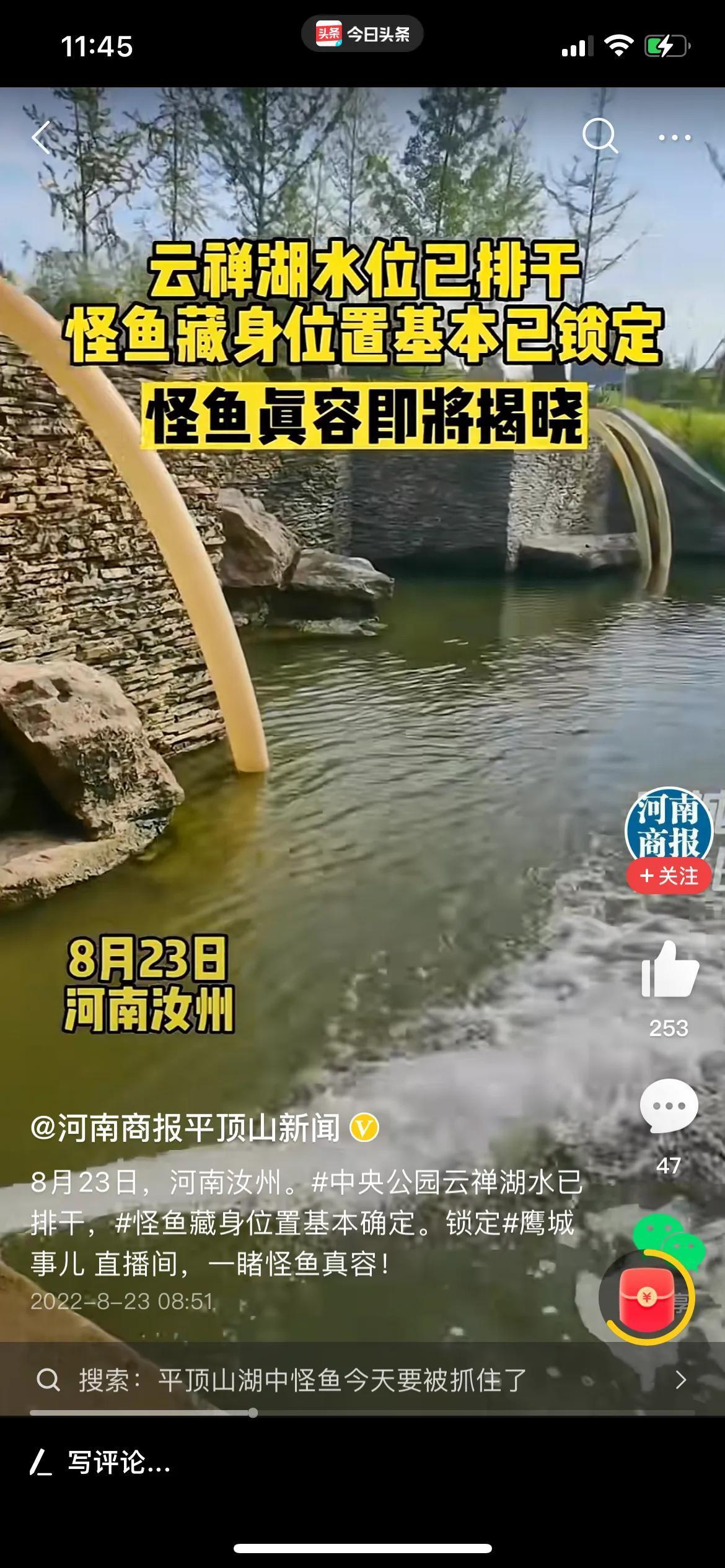 直击抽水捉拿“湖中怪鱼”是怎么回事，关于湖里惊现怪鱼的新消息。