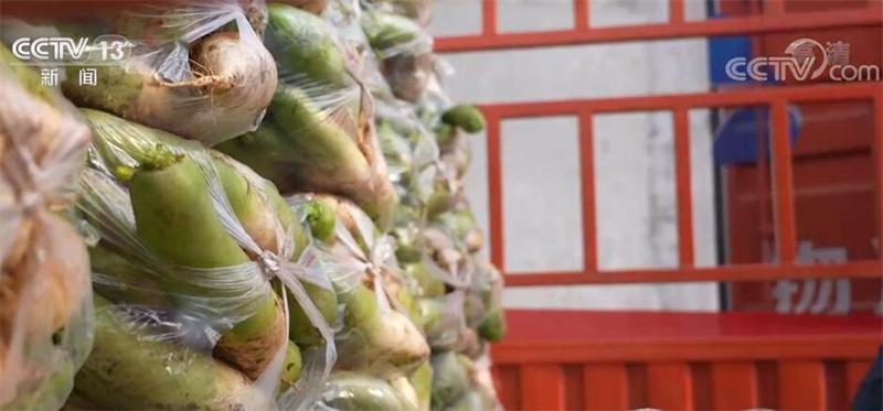##河南回应7万吨蔬菜滞销