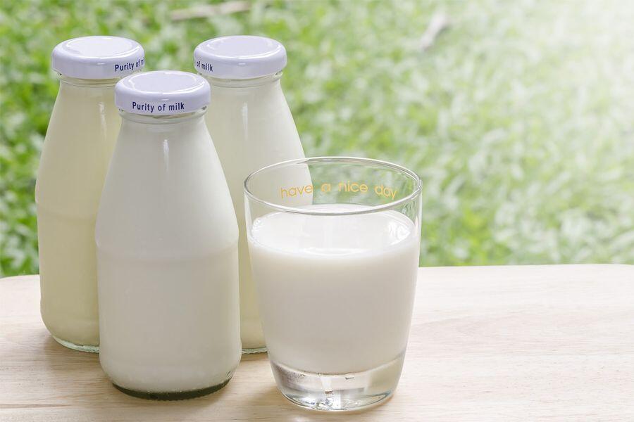阳了能喝纯牛奶吗 新冠肺炎阳了能喝纯牛奶吗 阳虚可以喝纯牛奶吗