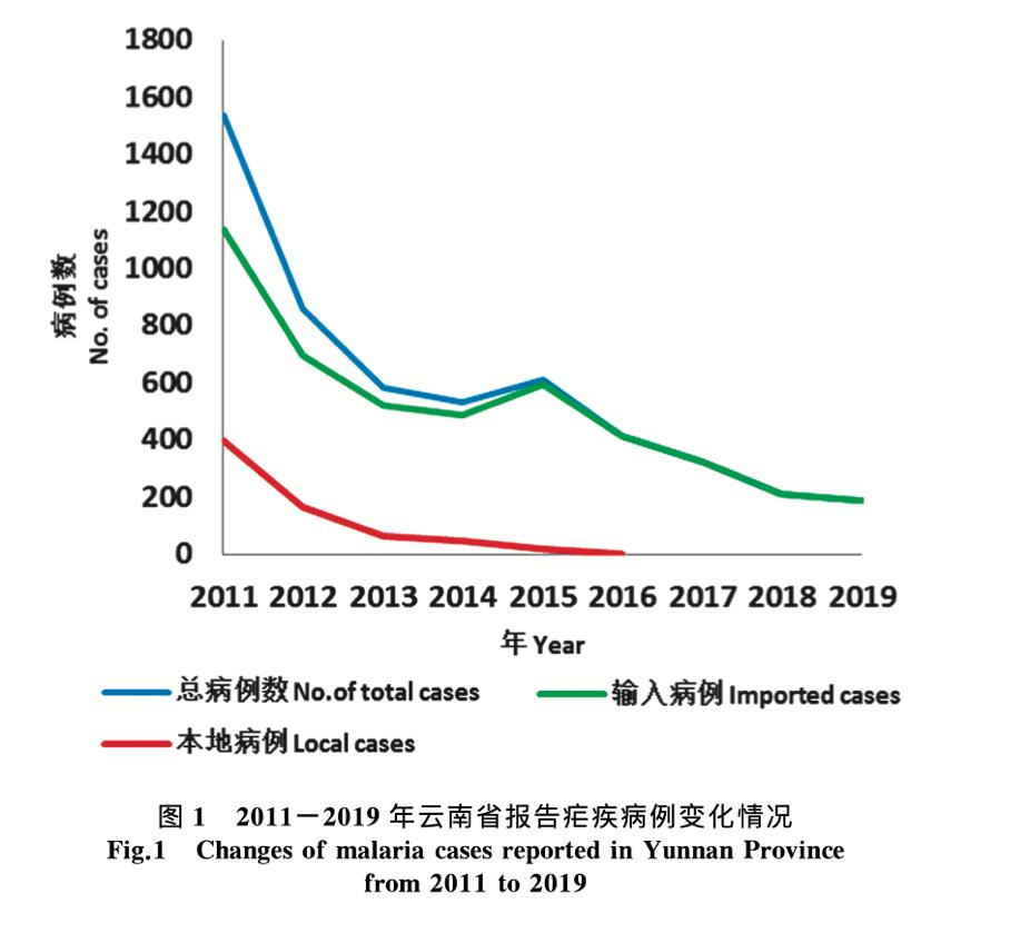 瑞丽面临新冠和登革热防控叠加形势