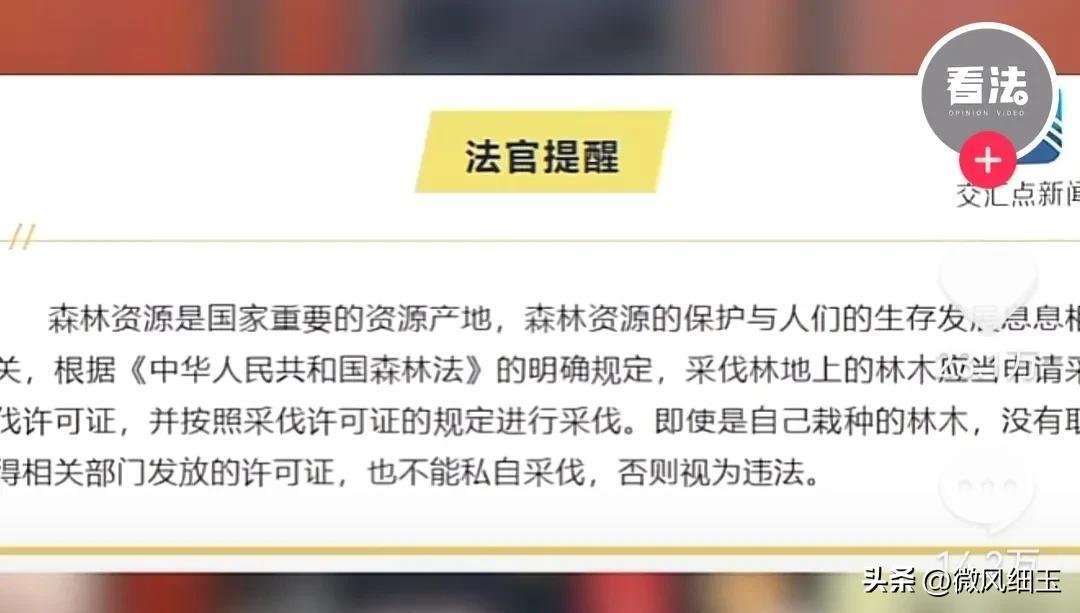 男子无证砍自家种的树被判刑,究竟是怎么一回事?