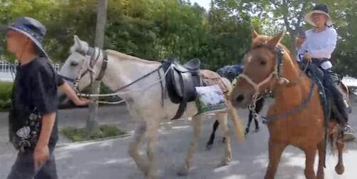夫妻骑马从新疆回福建已花30多万，纵马行歌人生应当如此