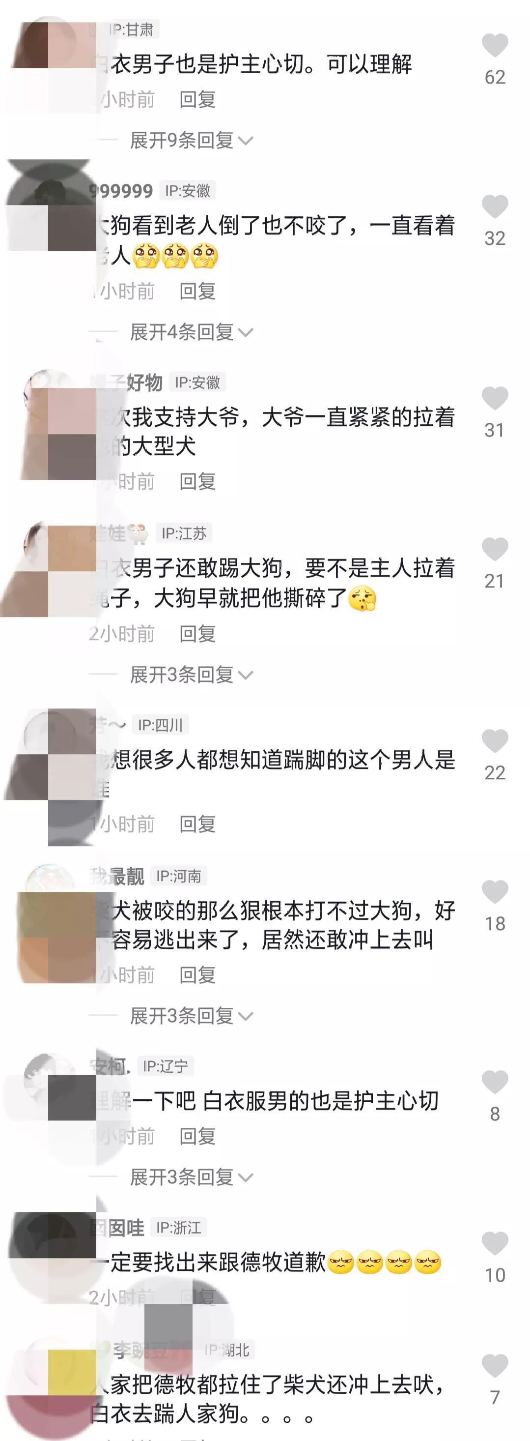 重庆一男子踹狗致老人摔倒,老人踢狗摔倒