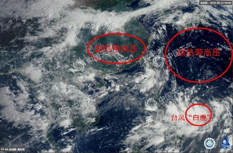 2019第11号台风白鹿最新消息 第11号台风台风白鹿会在哪里登陆详情