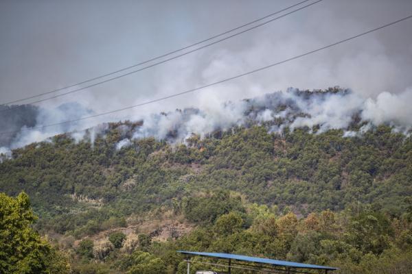 重庆山火救援现场：领导都在山上是怎么回事，关于重庆山火救援现场:领导都在山上工作吗的新消息。