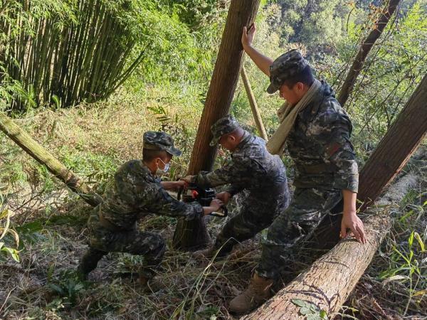 重庆山火救援现场：领导都在山上是怎么回事，关于重庆山火救援现场:领导都在山上工作吗的新消息。