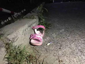 杭州小女孩坠楼事件最新消息,杭州4岁小女孩从10楼坠下不幸离世 家人悲痛欲绝