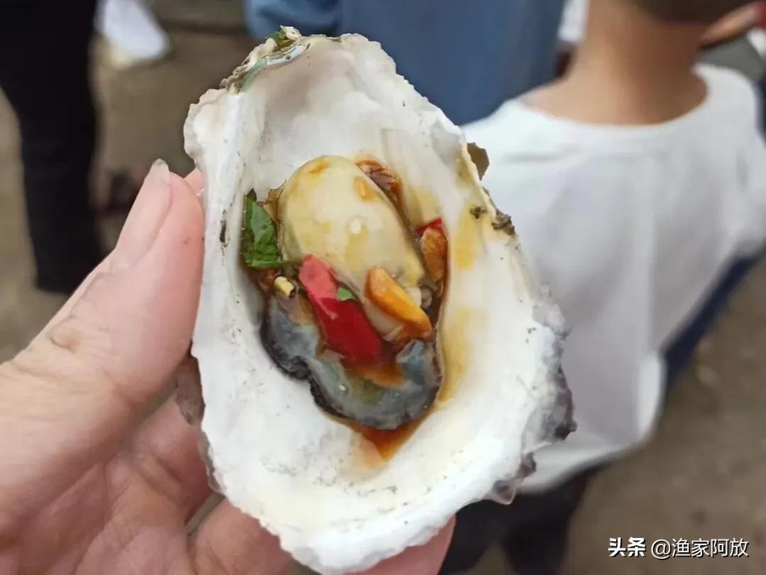 体验海边人的美食快乐,体验海边人的美食快乐时光