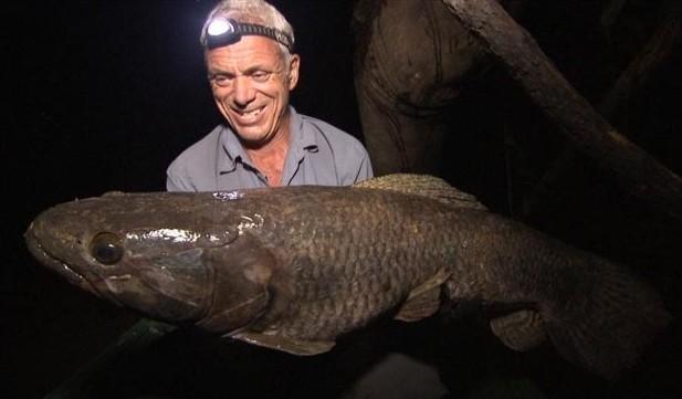 河南汝州巨型怪鱼系高危外来生物是怎么回事，关于河中巨怪鱼类名单的新消息。