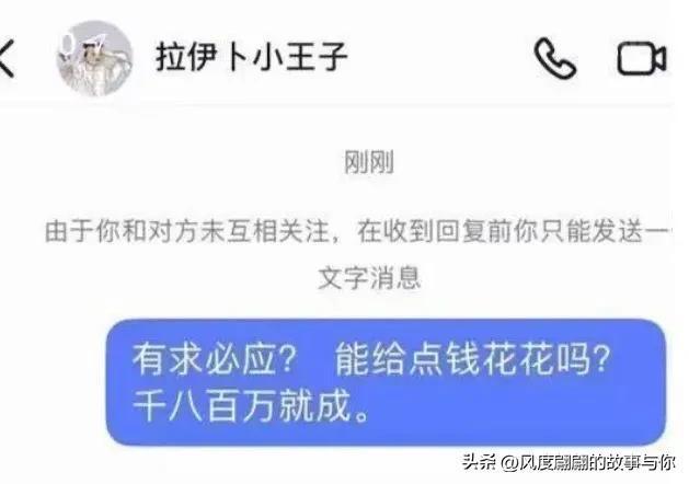 卡塔尔网红王子或为王室旁支成员