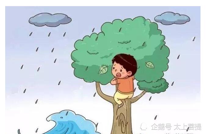 3个字总结如何防范暴雨 哪三个字具体怎么做？