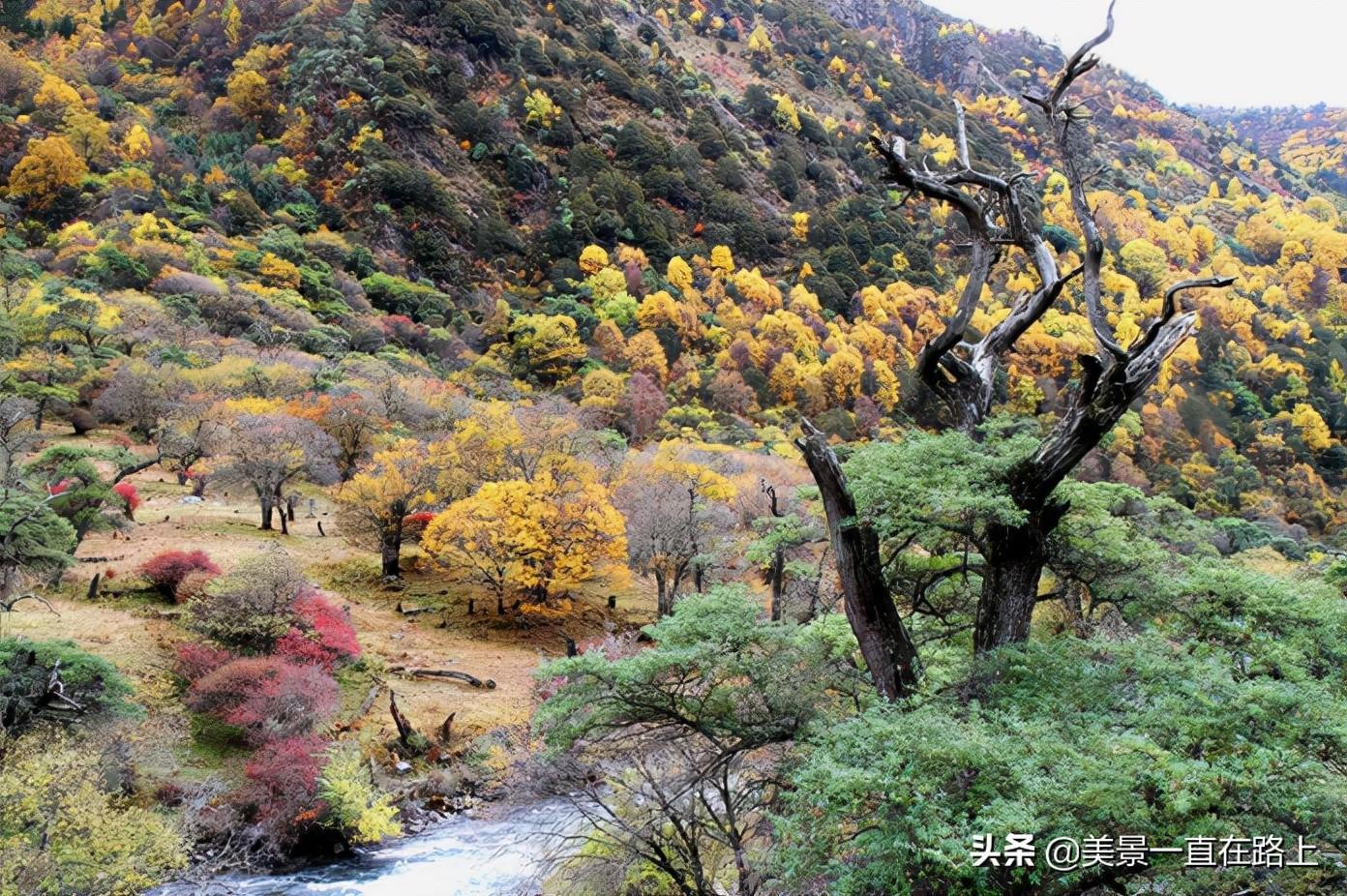 官方回应四姑娘山万年冰川裸了是怎么回事，关于四姑娘山 冰川的新消息。