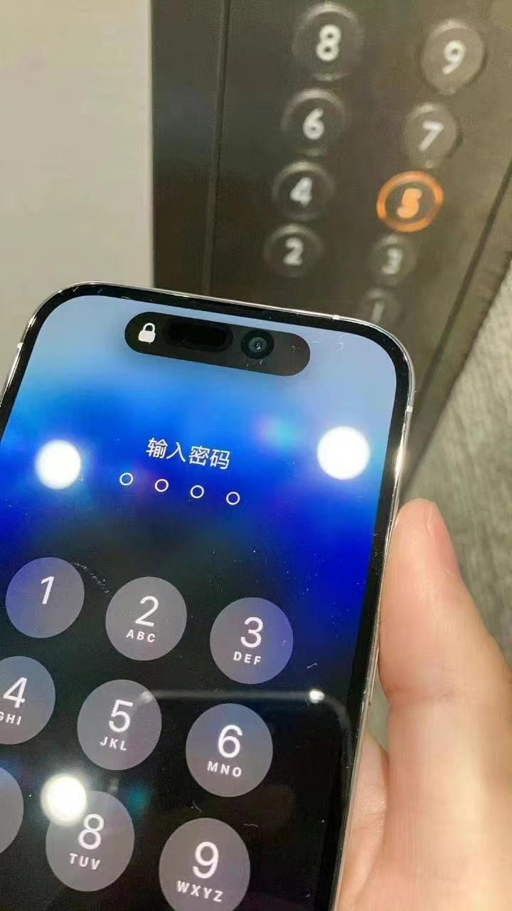 用户称iPhone14灵动岛有色差