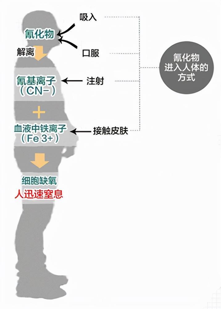 网红小狗疑被主人针扎虐待是怎么回事，关于狗被打毒针的新消息。