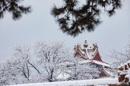 北京初雪 故宫白雪镶红墙