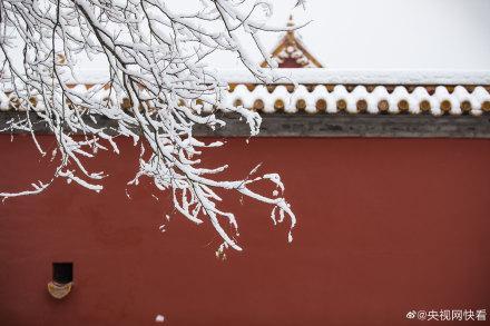 北京初雪 故宫白雪镶红墙