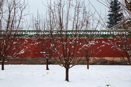 北京初雪 故宫白雪镶红墙