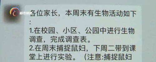 昆明9万学生全城找鼠妇做实验什么情况？网友大呼鼠妇也太难了