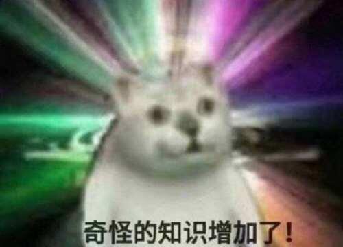 MUR猫是什么 奇怪的知识增加了